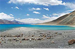 tour-images/Amazing-Ladakh.jpg