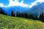 tour-images/Kashmir-with-Vaishno-Devi.jpg